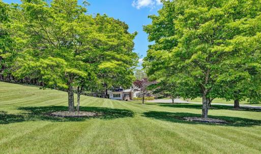 Photo #73 of 120 Stonelea Drive, Troutville, VA 6.3 acres