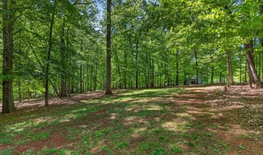 Photo #68 of 261 Blue Ridge Ln., Amherst, VA 1.2 acres