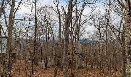 Photo #8 of 20 Red Cedar Ct, Wintergreen, VA 0.5 acres