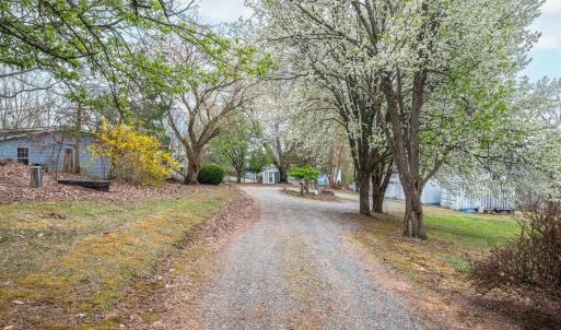 Photo #50 of 4404 Murray Hollow Road, Thaxton, VA 27.6 acres