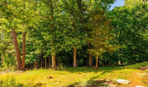 Photo #69 of 119 Fredonia Ave, Lynchburg, VA 0.5 acres