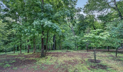 Photo #66 of 1146 Audubon Dr, Lynchburg, VA 2.5 acres
