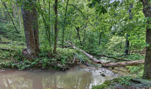 Photo #68 of 1146 Audubon Dr, Lynchburg, VA 2.5 acres