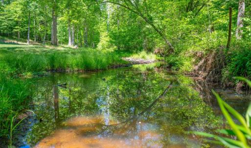 Photo #91 of 1038 Lees Mill Lane, Goode, VA 20.0 acres