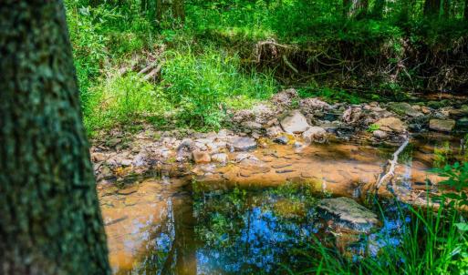 Photo #92 of 1038 Lees Mill Lane, Goode, VA 20.0 acres