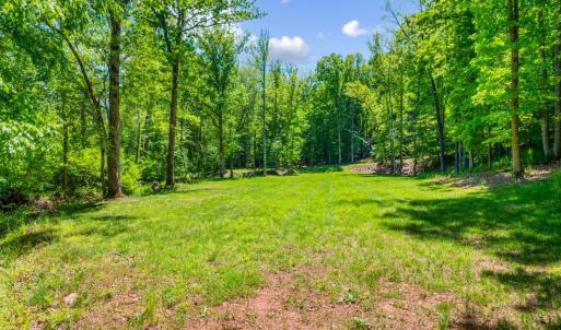 Photo #89 of 1038 Lees Mill Lane, Goode, VA 20.0 acres
