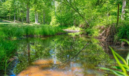 Photo #91 of 1038 Lees Mill Lane, Goode, VA 20.0 acres