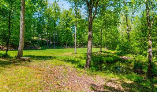Photo #90 of 1038 Lees Mill Lane, Goode, VA 20.0 acres