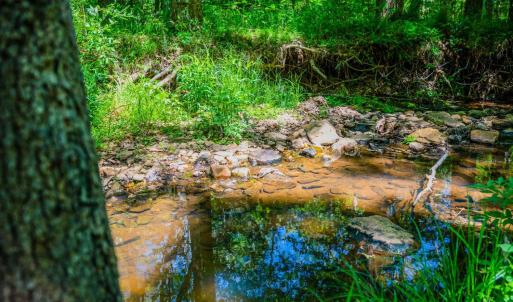 Photo #92 of 1038 Lees Mill Lane, Goode, VA 20.0 acres