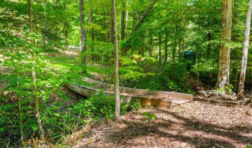 Photo #96 of 1038 Lees Mill Lane, Goode, VA 20.0 acres