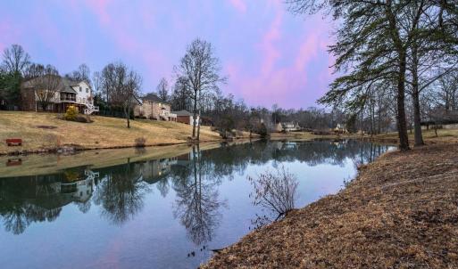 Photo #63 of 1305 Summerpark Drive, Forest, VA 1.0 acres