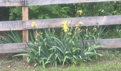 Photo #35 of 397 Epsons Road, Long Island, VA 0.7 acres