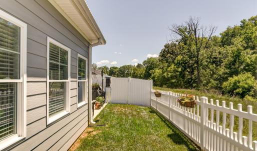 Backyard area