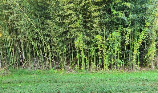 Photo #32 of 643 River Bottom Lane, Concord, VA 15.0 acres