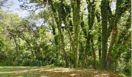 Photo #30 of 1618 Buchanan Street, Lynchburg, VA 0.1 acres
