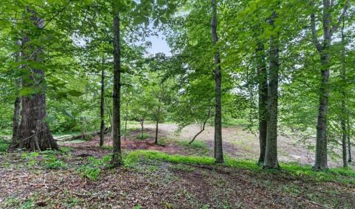 Photo #51 of 275 Fox Hill Road, Rice, VA 1.4 acres