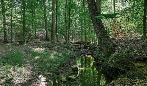 Photo #63 of 809 Plantation Road, Amherst, VA 45.6 acres