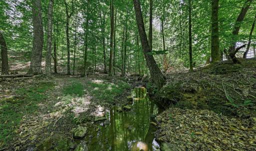 Photo #62 of 809 Plantation Road, Amherst, VA 45.6 acres