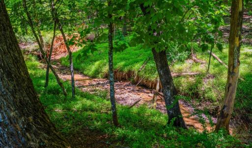 Photo #3 of 115 Meadowridge Drive, Lynchburg, VA 2.5 acres