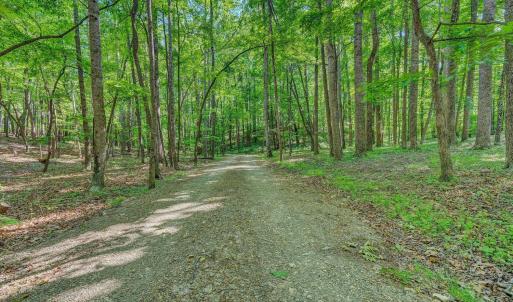 Photo #54 of 6060 Catawba Creek Road, Troutville, VA 20.0 acres