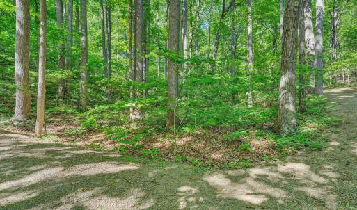 Photo #53 of 6060 Catawba Creek Road, Troutville, VA 20.0 acres