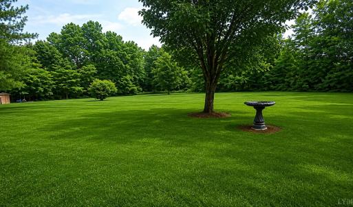 Photo #35 of 2346 Mitchell Mill Road, Gladys, VA 2.6 acres