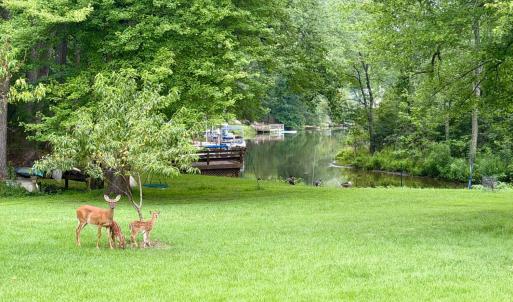 Photo #69 of 762 Timberlake Drive, Lynchburg, VA 1.2 acres