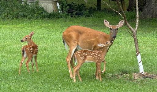 Photo #70 of 762 Timberlake Drive, Lynchburg, VA 1.2 acres