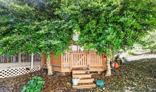 Photo #64 of 24 Queen Regent Court, Blue Ridge, VA 0.5 acres