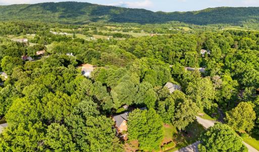 Photo #71 of 24 Queen Regent Court, Blue Ridge, VA 0.5 acres