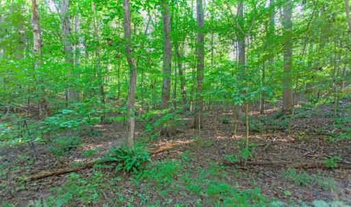 Photo #50 of 369 Juniper Drive, Lynchburg, VA 0.6 acres