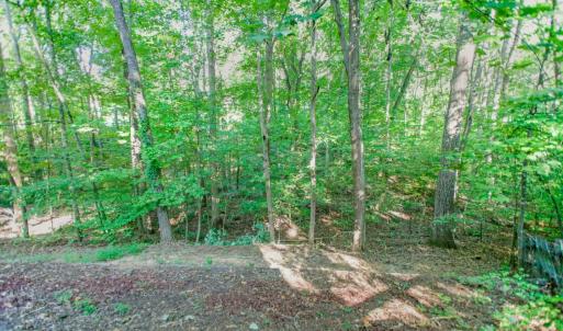 Photo #54 of 369 Juniper Drive, Lynchburg, VA 0.6 acres