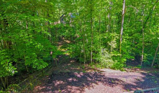 Fully fenced in wooded yard