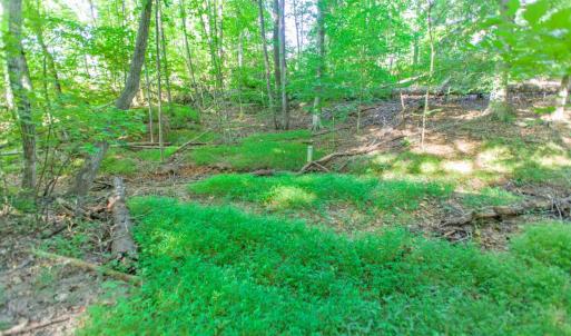 Photo #52 of 369 Juniper Drive, Lynchburg, VA 0.6 acres