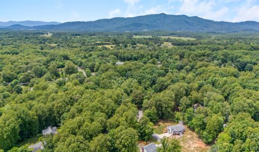 Photo #49 of 125 Cane Raiser Court, Amherst, VA 0.7 acres