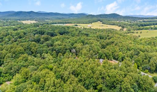 Photo #50 of 125 Cane Raiser Court, Amherst, VA 0.7 acres