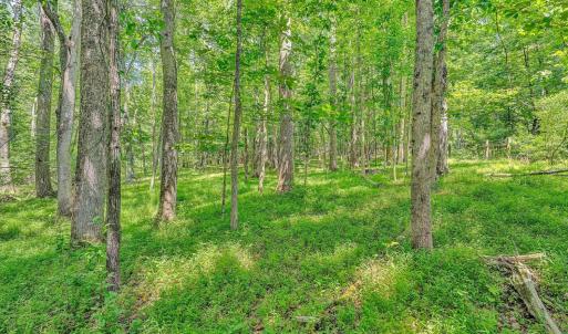 Photo #48 of 1432 Oakwood Knolls Drive, Bedford, VA 5.0 acres