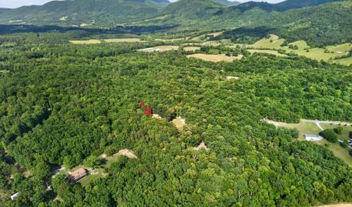 Photo #29 of 1086 Bugg Hollow Lane, Montvale, VA 6.3 acres