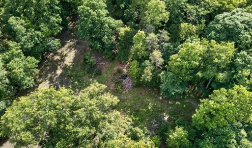 Photo #22 of 1086 Bugg Hollow Lane, Montvale, VA 6.3 acres
