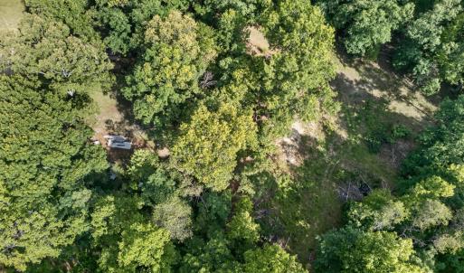 Photo #21 of 1086 Bugg Hollow Lane, Montvale, VA 6.3 acres