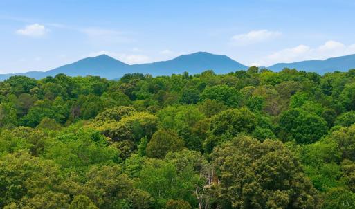 Photo #89 of 1054 Rock Haven Road, Goode, VA 4.0 acres