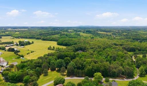 Photo #93 of 1054 Rock Haven Road, Goode, VA 4.0 acres