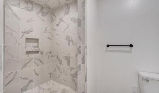 Roll-in shower in the in-law apartment