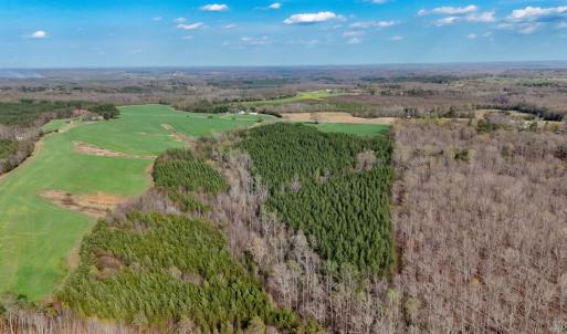 Photo #80 of 677 Tabor Road, Gladys, VA 95.5 acres