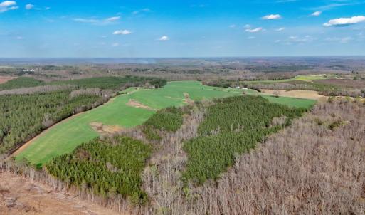 Photo #48 of 677 Tabor Road, Gladys, VA 95.5 acres