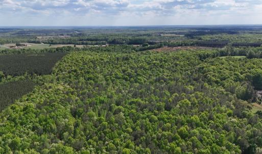Photo #84 of 2990 Whites Chapel Road, Phenix, VA 414.5 acres