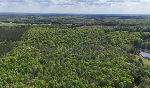 Photo #95 of 2990 Whites Chapel Road, Phenix, VA 414.5 acres