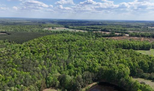 Photo #87 of 2990 Whites Chapel Road, Phenix, VA 414.5 acres