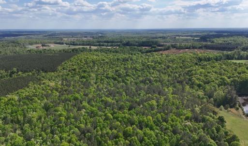 Photo #90 of 2990 Whites Chapel Road, Phenix, VA 414.5 acres