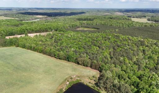 Photo #79 of 2990 Whites Chapel Road, Phenix, VA 414.5 acres